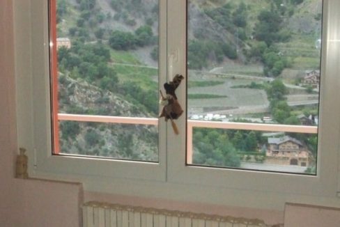 Pis 3 hb super lauredia Venta Versus andorra