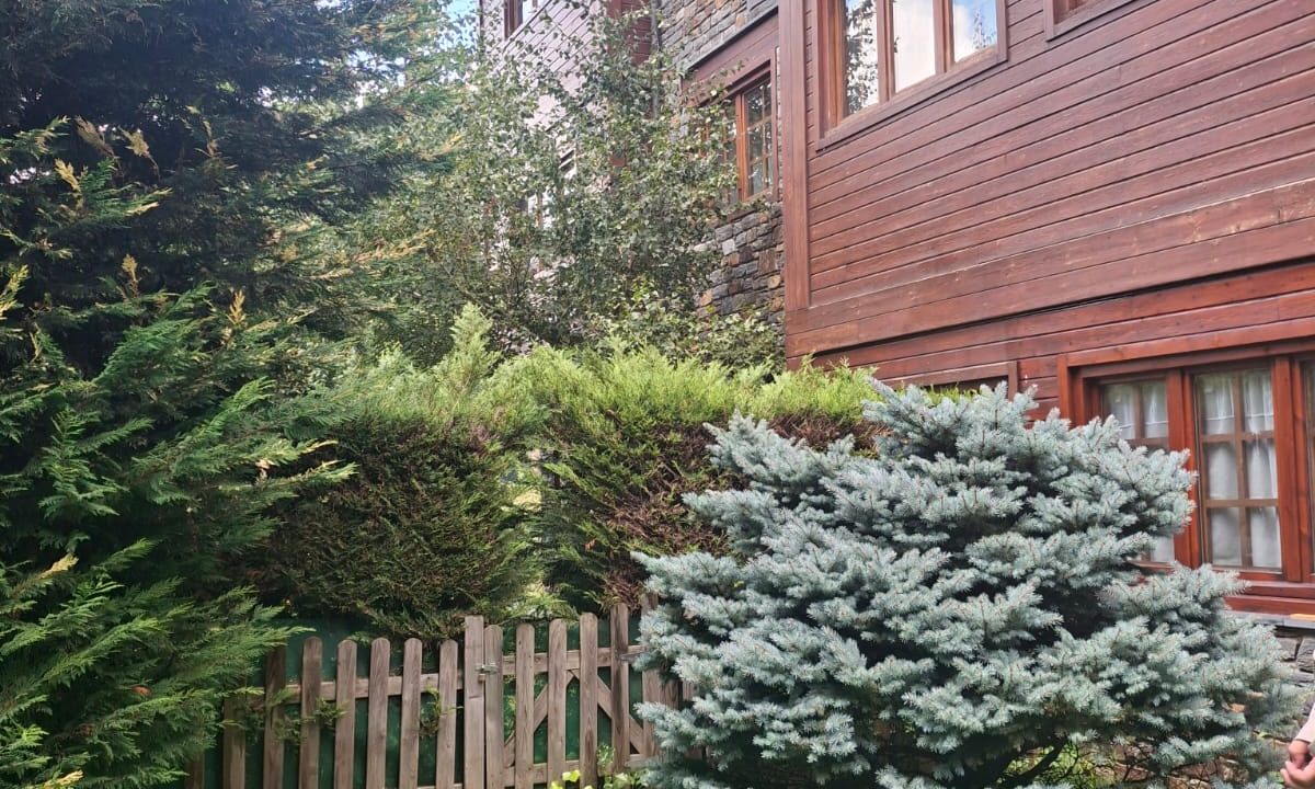 Lloguer 3 hb jardi La Massana Versus andorra (8)