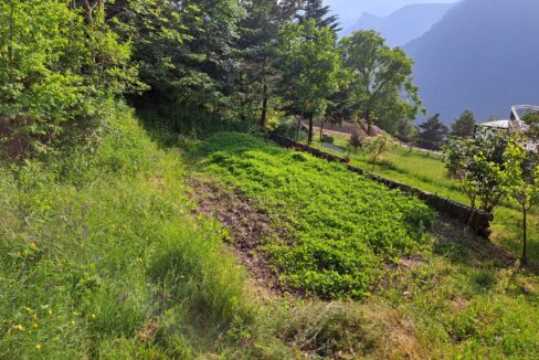 Terreny Sant julia 4